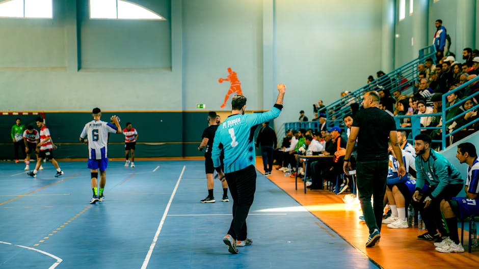Image sport - handball-arvor